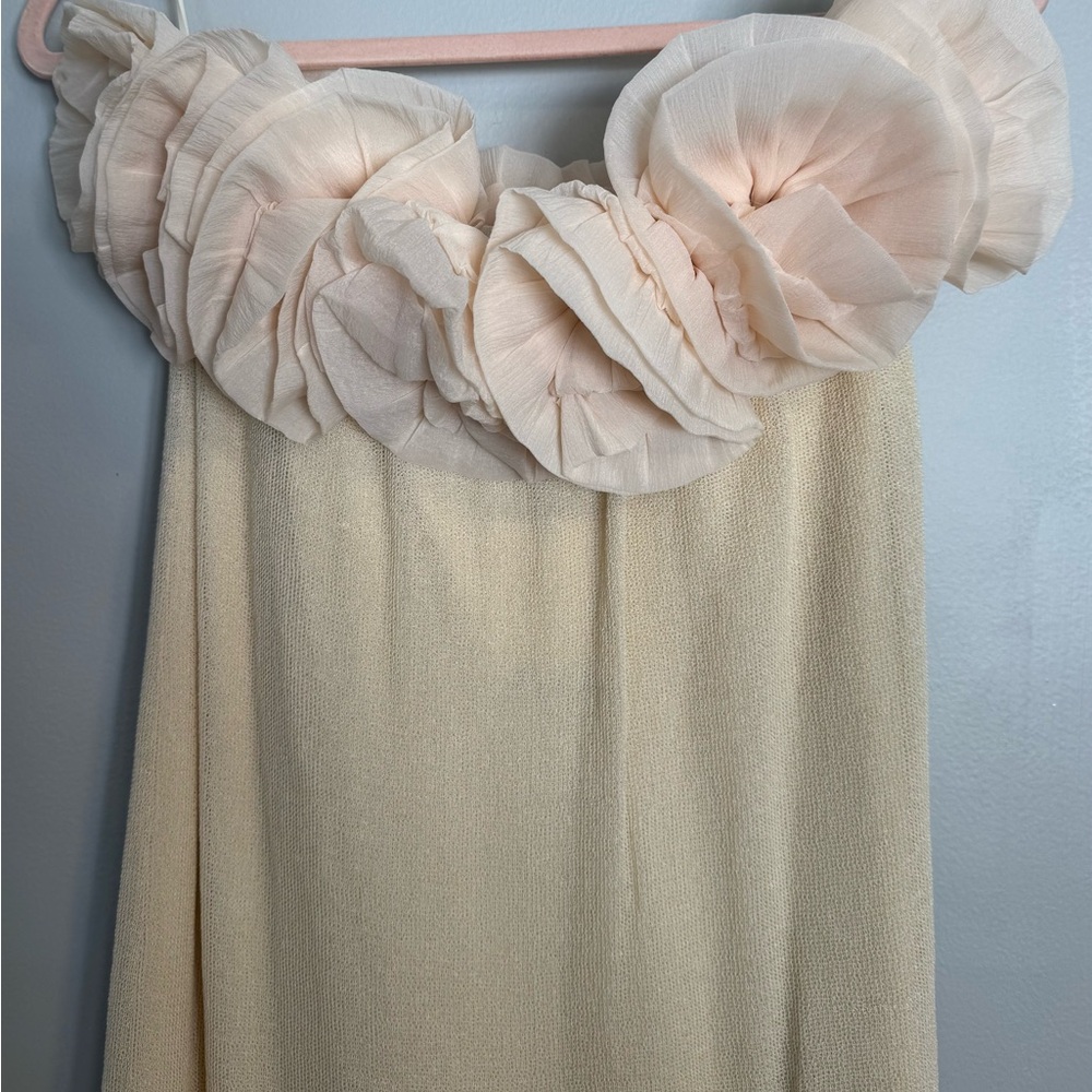 Zara Cream Strapless Dress with Floral Accents - Picture 5 of 7